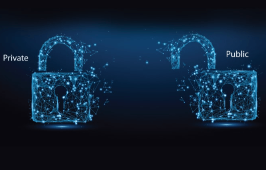 Public vs Private Blockchain Explained